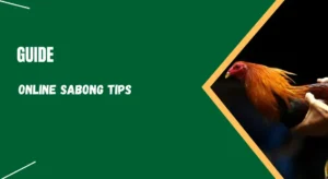 Online Sabong Tips