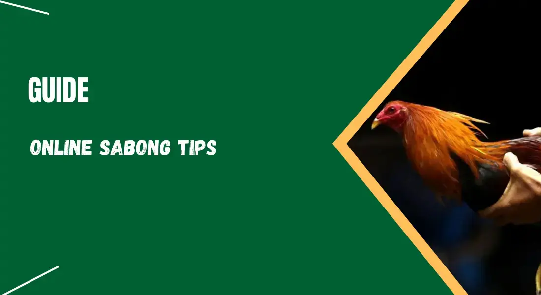 Online Sabong Tips